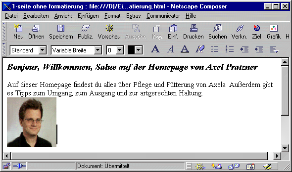 Netscape Composer Ansicht