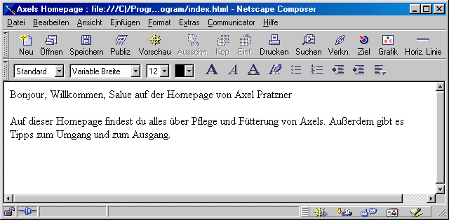 Netscape Composer Texteingabe
