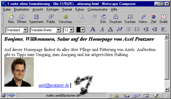 Netscape Composer E-Mail-Adresse Ausgabe