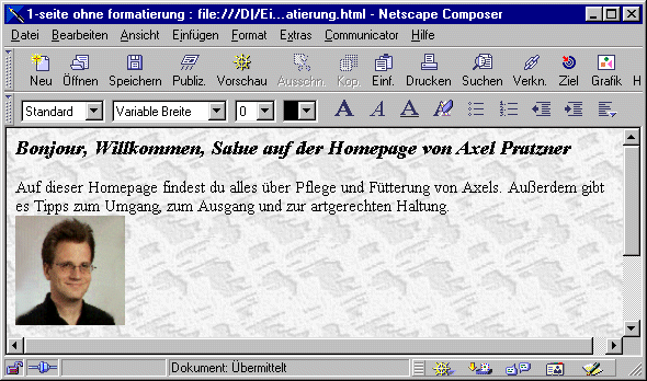 Netscape Composer fertiges Ergebnis