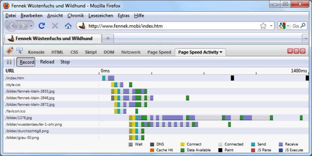 Ladevorgang sichtbar gemacht mit Browsertool Page Speed Activity