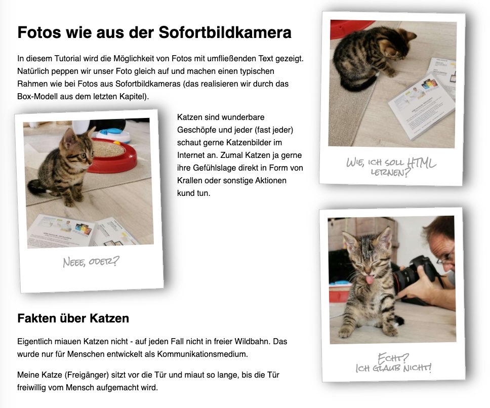 Nachbildung von alten Fotos von Sofortbildkamera mit unterem Beschriftungsrand