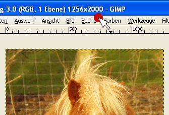 im Kopf von GIMP wird die Bildgröße angezeigt