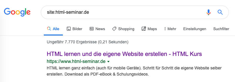 indizierte Treffer bei Google für Bindestrichvariante