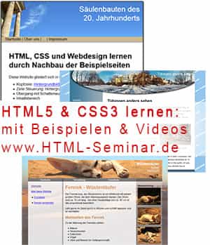 HTML5 und CSS3 lernen durch Nachbau von Beispielwebseiten