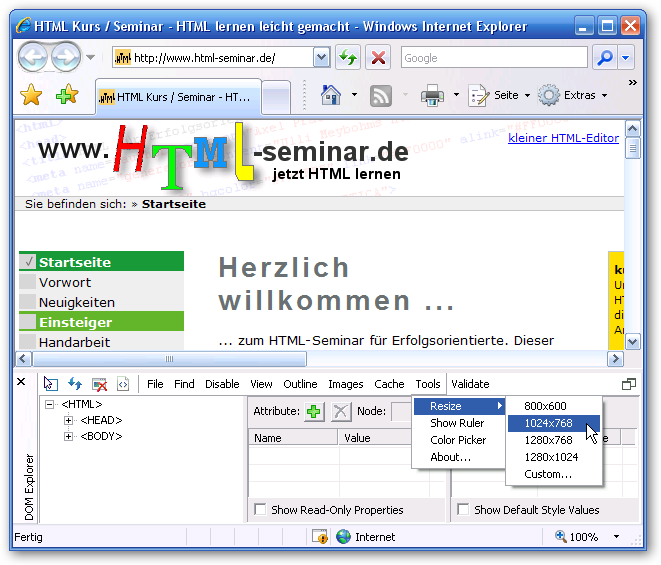 IE Toolbar Browserfenstergröße umschalten